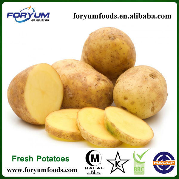 Hot Sale Fresh Potato In Bulk,China FORYUM price supplier - 21food