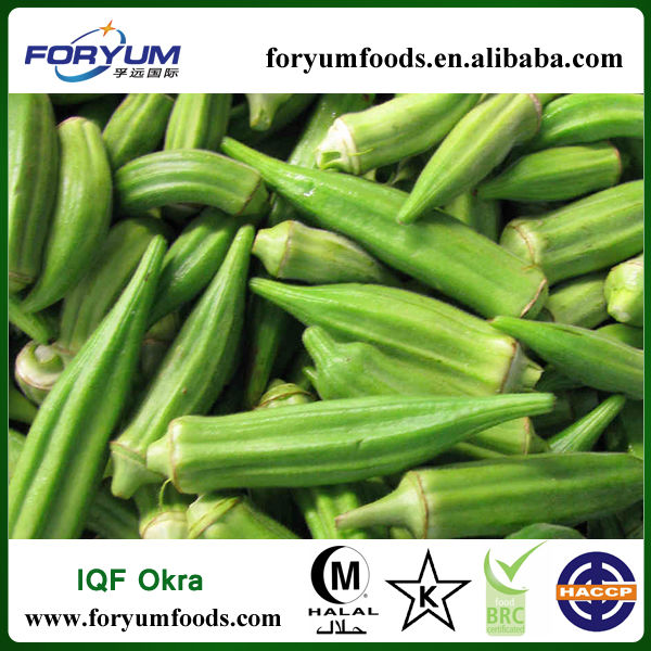 chinese okra