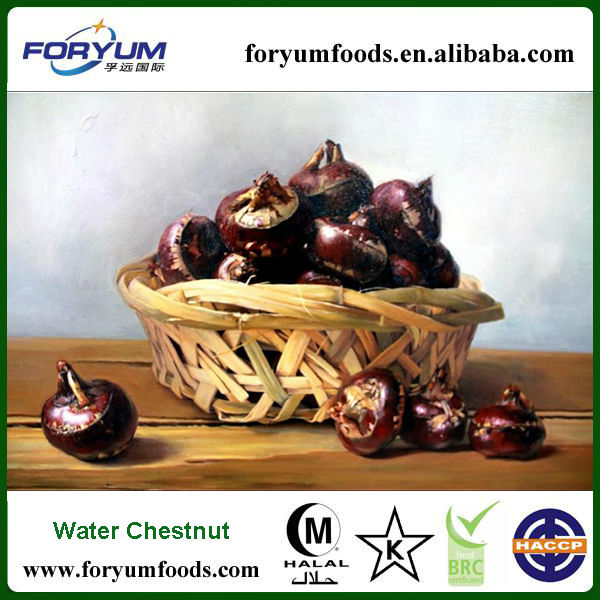 water-chestnut-nutrition-facts-china-foryum-price-supplier-21food