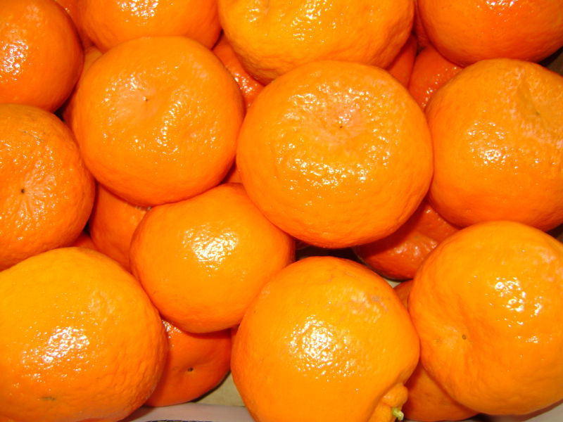 mandarin fruit in english