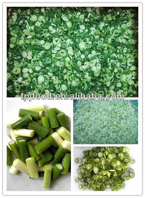 frozen scallion cut,China TPJ price supplier - 21food