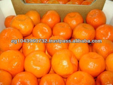 honey mandarin,Egypt ANB Economical Group price supplier - 21food