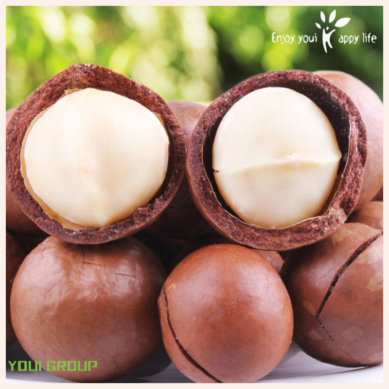 Macadamia Nuts,China Youi price supplier 21food