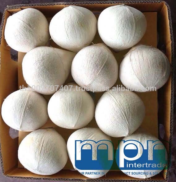 Fresh Polished Young Thai Coconut,Thailand Available for private ...