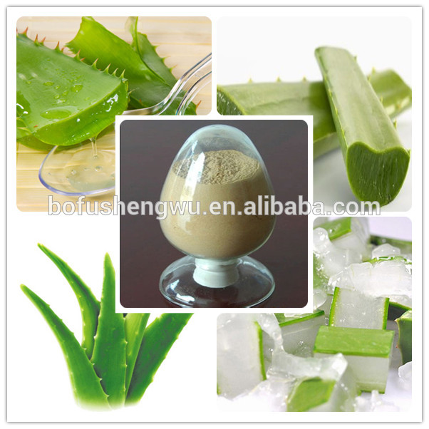 Organic Aloe Vera Extractaloe Vera Extract Plantaloe Vera Powder Extractschina Biof Price 2018