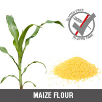 Maize Flour Whole Grain