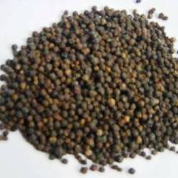 Top Quality Black Pepper Extract Piperine