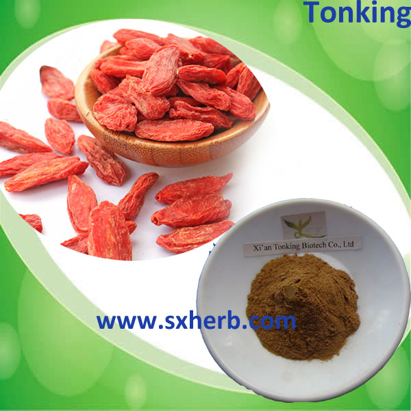 Organic Goji berry extract powder manufacturer in bulk