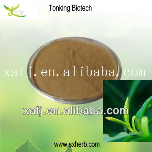 100% pure Green tea extract with ISO certificate,China Tonking price ...