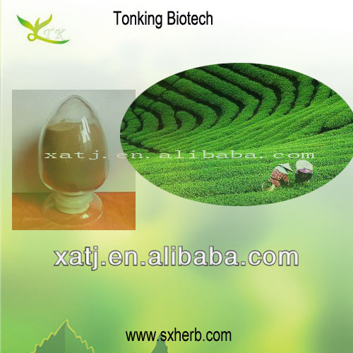 Manufacturer 100% Pure High Quality Plant Extract Decaffeinated Green Tea extract powder