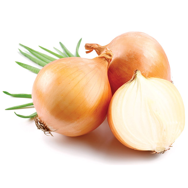 Onion,Uzbekistan price supplier - 21food