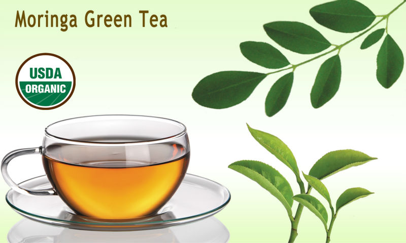 Moringa green tea for health products,India Moringa green tea for ...