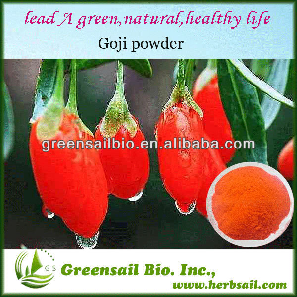 2014 Factory Supply 100% Natural Goji Berry Powder
