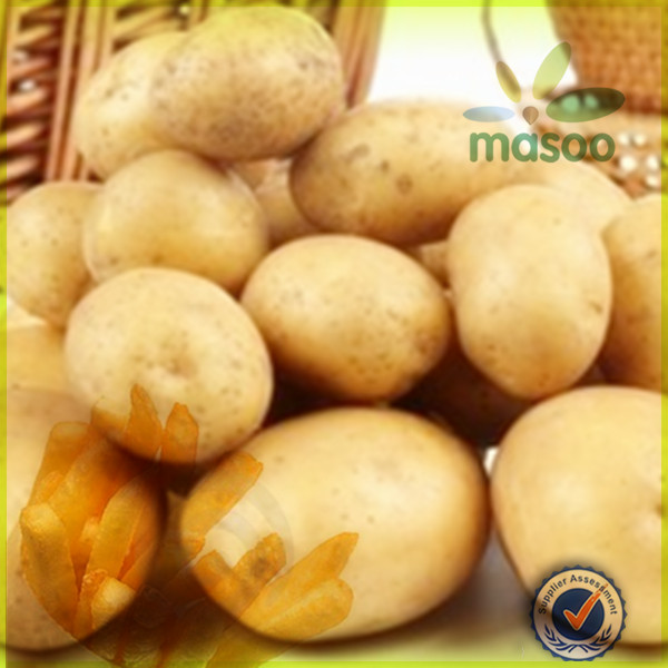 Sweet High Quality Fresh Potato with Low Price / russet potatoes / red ...