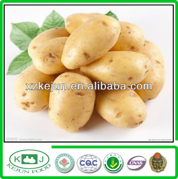 2013 exporting grade new crop fresh potato,China Kejun price supplier ...