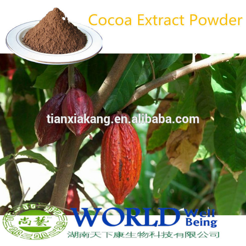 100% nature Organic Cocoa Powder,China wwb price supplier - 21food