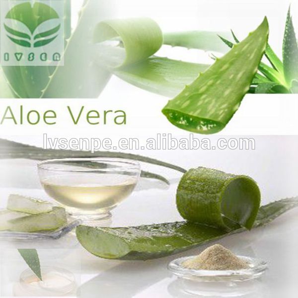 High Quality Pure Natural Aloe Vera Extract Powderchina Lvsen Price Supplier 21food 4651