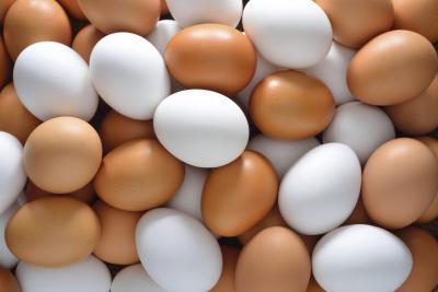 Fresh Chicken Eggs/White Shell Eggs/Farm Fresh Table Eggs/Egg Tray/Ostrich Eggs/Quail Eggs/Duck Eggs