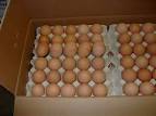 White and Brown Fresh Chicken Eggs