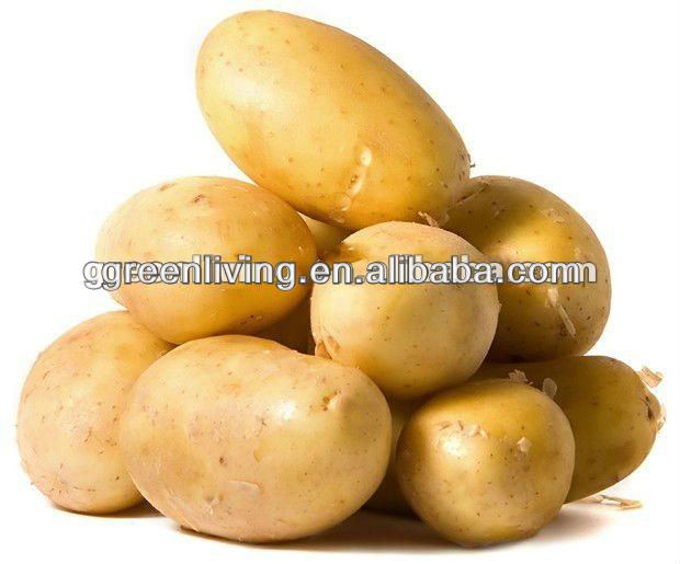 2013 fresh chinese potato wholesaler(75-100,100-150,150-250g,250gup ...