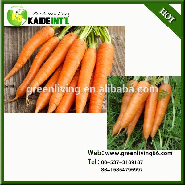 Wholesale Carrots For Market,China Greenliving price supplier - 21food