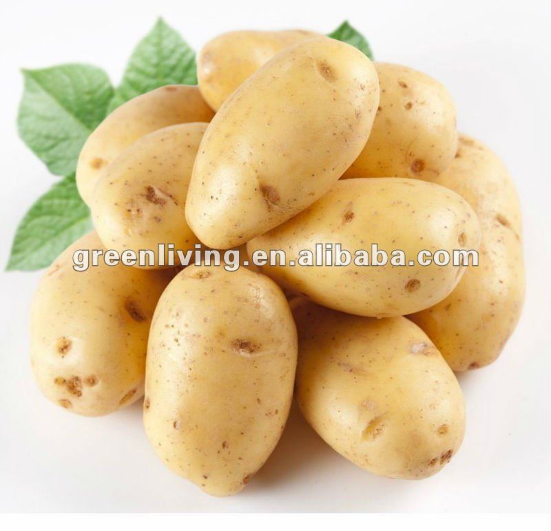 Fresh 2012 Yellow Skin Potato Sell,china Greenliving Price Supplier 