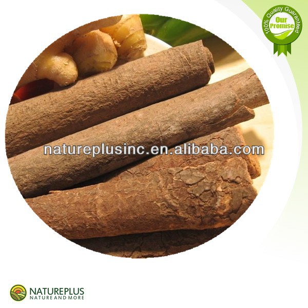 Hot sale cinnamon bark extract powder China manufacturer