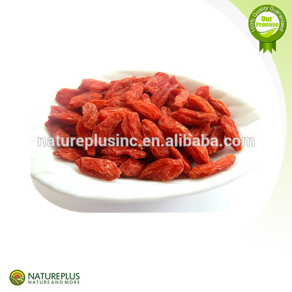 Barbary Wolfberry Fruit Extractgoji Berrychina Natureplus Price Supplier 21food 4223