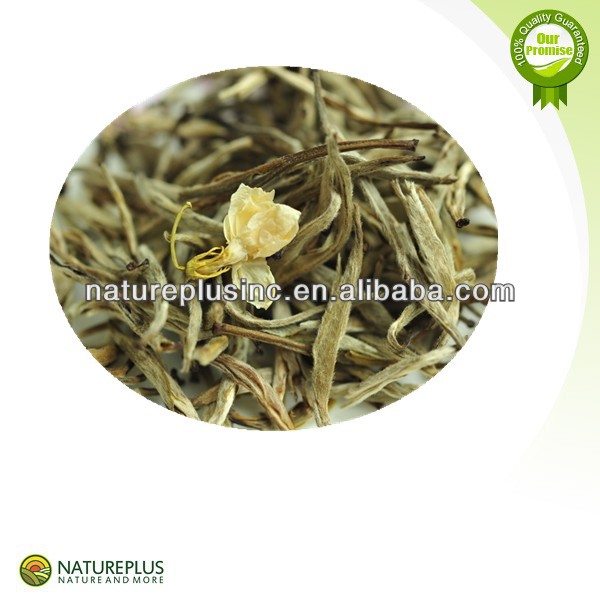 High quality Jasmine Tea Extract /Jasmine Tea Extract Powder China manufacturer