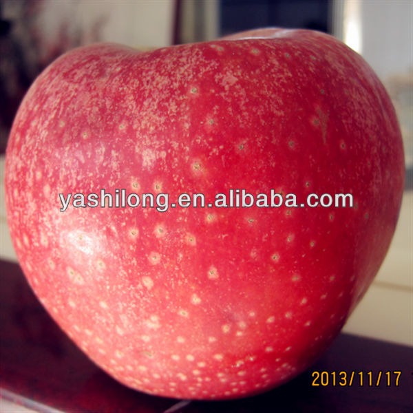 Fruits Containing Potassium Are Very Delicious With Good Quality From Chinese Apple Fruit Factory Products China Fruits Containing Potassium Are Very Delicious With Good Quality From Chinese Apple Fruit Factory Supplier