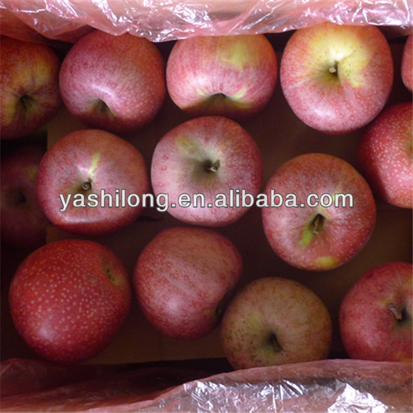 Fruit Fresh Red Paper Bagged Qinguan Apple China Manufacturer