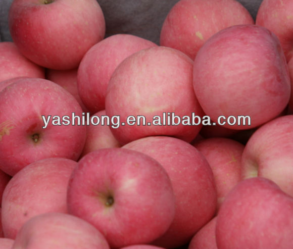 sweet paper bagged fuji apple China Manufacturer