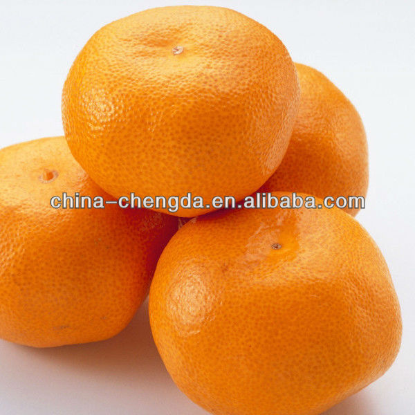 sweet mandarins(indonesia jeruk segar)ponkan,China Chengda price ...