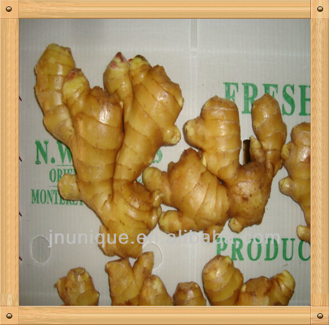 China Fresh Ginger Half Dry Ginger Air Dry Gingerchina Unique Price Supplier 21food 2644