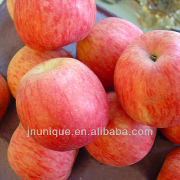 Apple Plastic Bagged FUJI Red Pink Color China Manufacturer