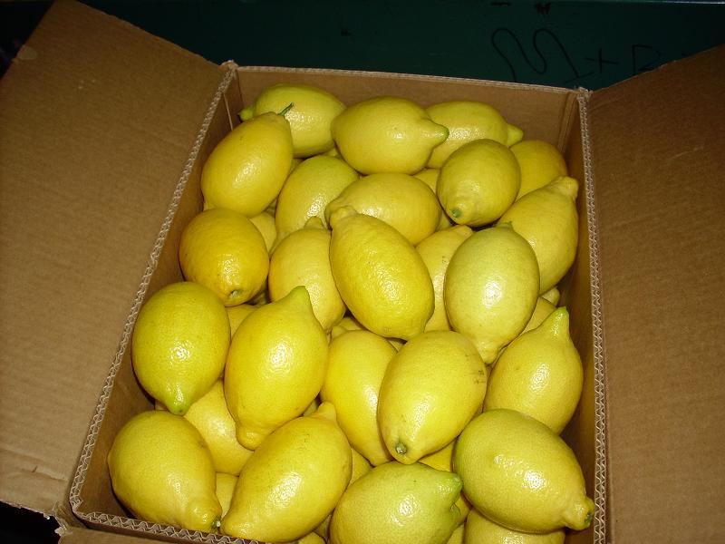 citrus tagr for sale