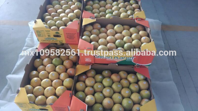 PREMIUM AND ORGANIC GRAPEFRUIT STAR RUBY,Mexico NEWAY FRUIT price ...