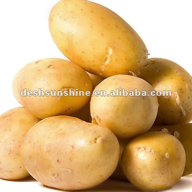 2013 fresh holland Potato, price of fresh potato,China DESH price ...