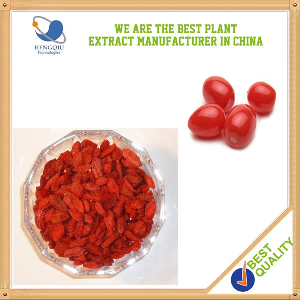 Made in China Herb Medicine Extract Ningxia Goji Berry