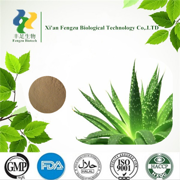 Best Quality Natural Aloe Vera Extract Powderchina Fengzu Price Supplier 21food 3654