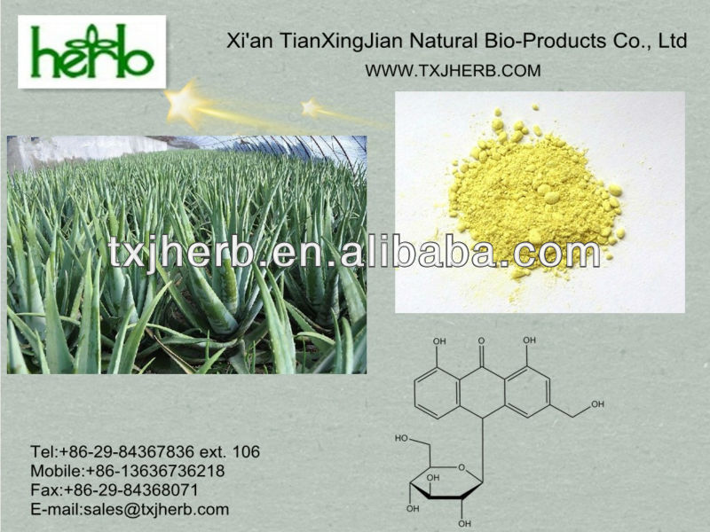 Organic Aloe Vera Plant Aloe Barbadensis Extract Powderchina Txj Price Supplier 21food 6982