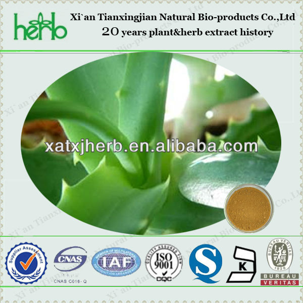 Aloe Vera Extract/Aloe Vera Extract Plant/Aloe Extract/Chinese Manufacturer
