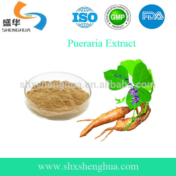 GMP Manufacturer Pueraria Lobata Extract Powder (Hot Sale)