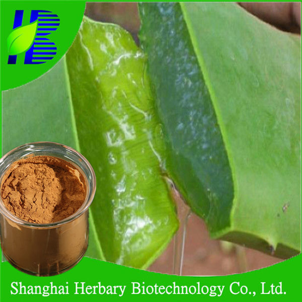 Aloe powder/Aloe vera extract manufacturer supply