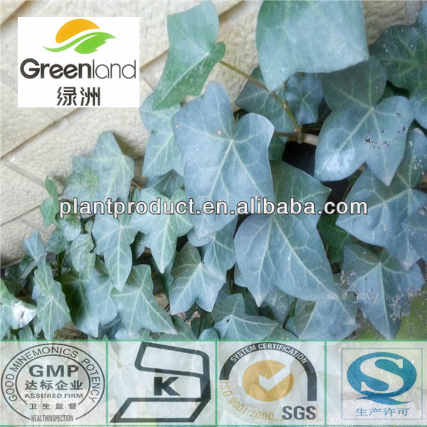 Nature Lvy Leaf Extract Hederacoside C Al Hederin Hederagenin Hedera Helix Extract Products China Nature Lvy Leaf Extract Hederacoside C Al Hederin Hederagenin Hedera Helix Extract Supplier