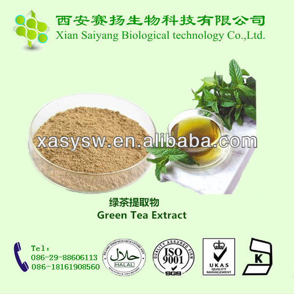 Direct Manufacturer Supply Natural Green Tea Extract Catechin powder
