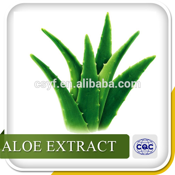High Quality Aloe Vera Extract Rawaloe Vera Extract Powderchina Yufeng Price Supplier 21food 4514