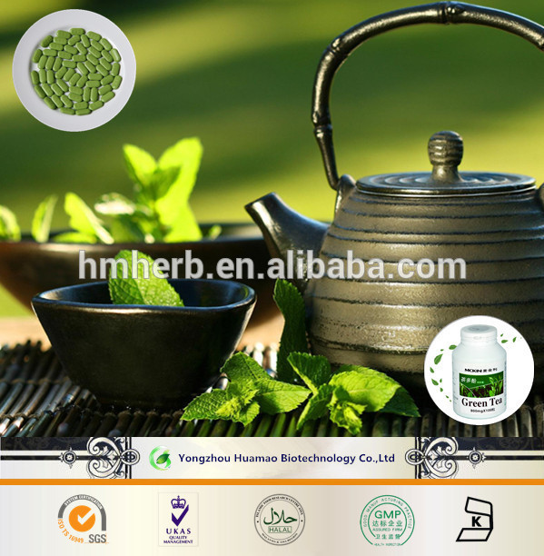 Huamao Manufacturer supply green tea extract powder EGCG