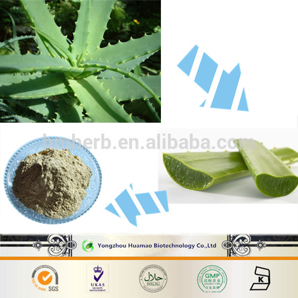 Manufacturing OEM best price organic Aloe Extract Powder