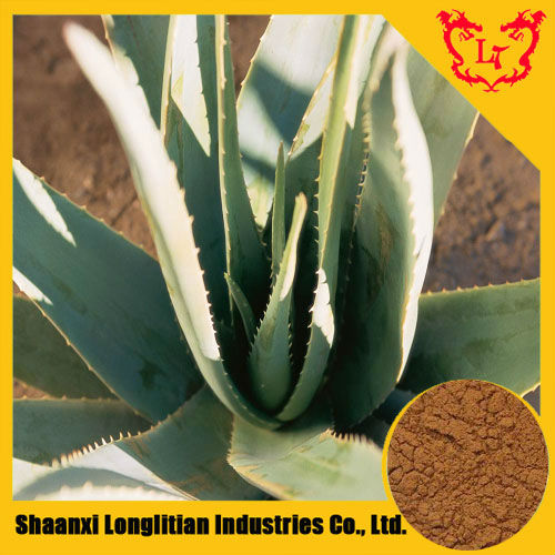 Organic Aloe Vera Extract Powder From Professional Manufacturer